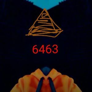 Meet your Posher, Gage